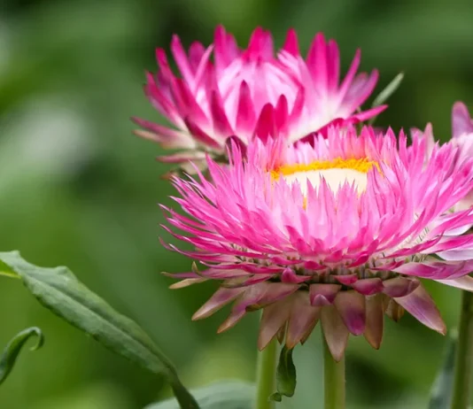 Cuando nos sintamos solos