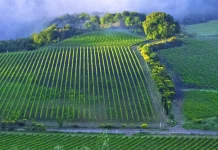 Cómo enfrentar la soledad