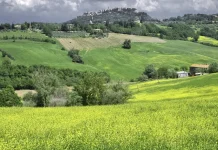 Las recompensas de un siervo