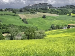 Las recompensas de un siervo