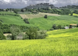 Las recompensas de un siervo