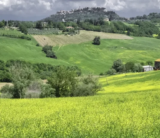 Las recompensas de un siervo