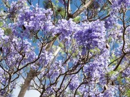 Aferrarse a la esperanza