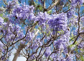 Aferrarse a la esperanza