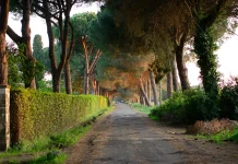 Razones para obedecer a Dios