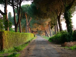 Razones para obedecer a Dios