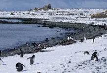 Los deseos de su corazón