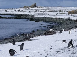 Los deseos de su corazón