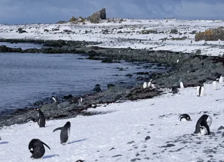 Los deseos de su corazón