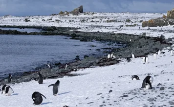 Los deseos de su corazón