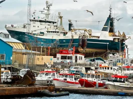 Disfrutar del banquete de la Palabra de Dios