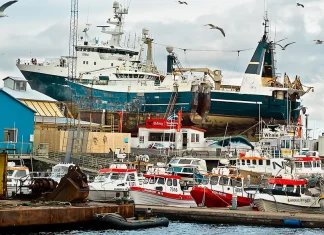 Disfrutar del banquete de la Palabra de Dios