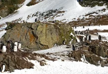 Cómo andar con sabiduría