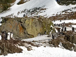 Cómo andar con sabiduría