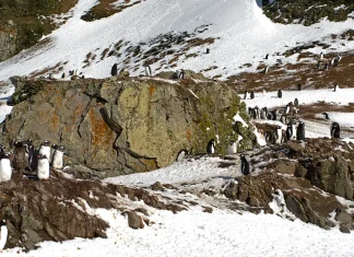 Cómo andar con sabiduría