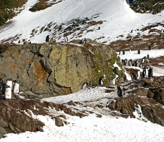 Cómo andar con sabiduría