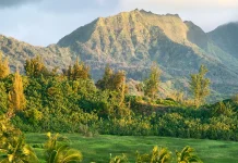 El Espíritu Santo: La presencia de Dios