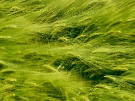 Cómo descubrir la voluntad de Dios