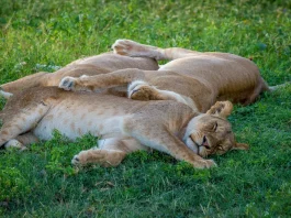 La bendición de amar a otros