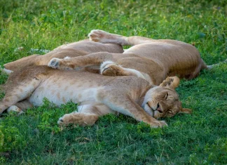 La bendición de amar a otros