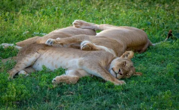 La bendición de amar a otros