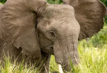 Lo que nos obstaculiza