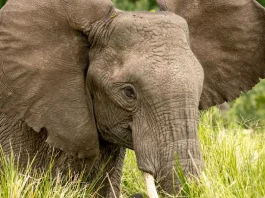 Lo que nos obstaculiza