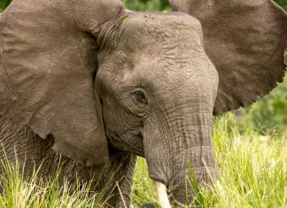 Lo que nos obstaculiza