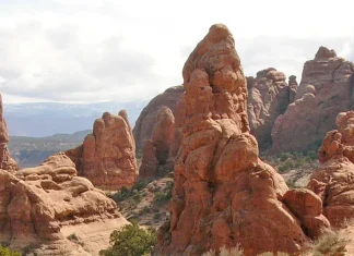 El poder para actuar