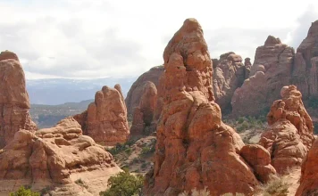 El poder para actuar