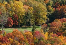 Hablar claro y directo