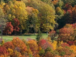 Hablar claro y directo