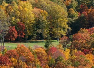 Hablar claro y directo