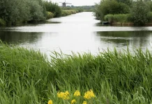 Llamados para el propósito de Dios