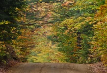 Vivir en el llamado de Dios