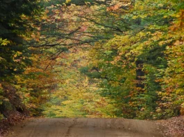 Vivir en el llamado de Dios