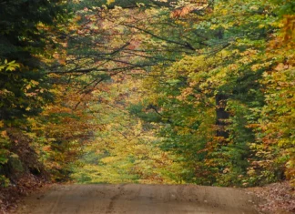 Vivir en el llamado de Dios