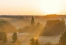 El lenguaje del amor