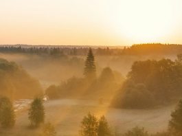El lenguaje del amor