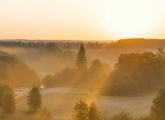 El lenguaje del amor