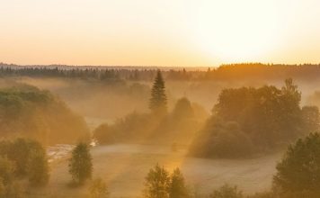 El lenguaje del amor