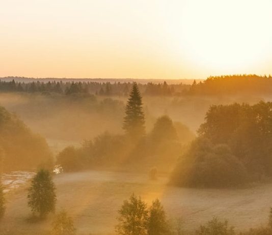 El lenguaje del amor