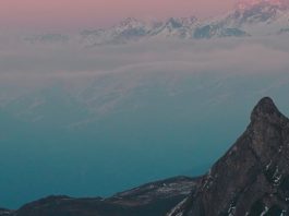 Un corazón generoso