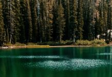 Permanecer firme en la fe