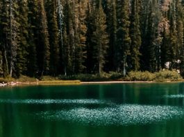 Permanecer firme en la fe