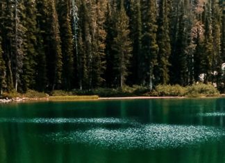 Permanecer firme en la fe