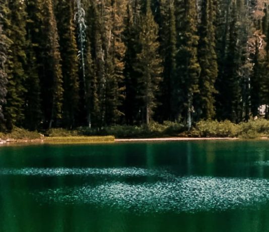 Permanecer firme en la fe