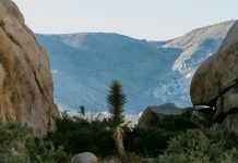 Aferrarse a las promesas de Dios