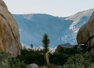 Aferrarse a las promesas de Dios