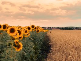 Personas nada comunes